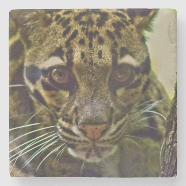 Dessous-de-verre En Pierre Leopard obscurci (Devant)