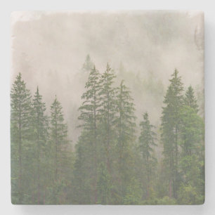 Dessous-de-verre En Pierre Les arbres de la forêt de Foggy