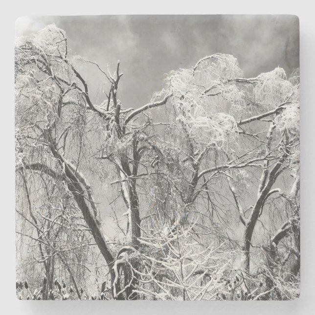 Dessous-de-verre En Pierre les arbres l'hiver (Devant)