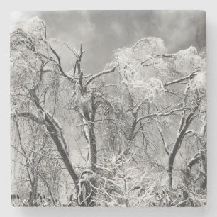 Dessous-de-verre En Pierre les arbres portent l'hiver
