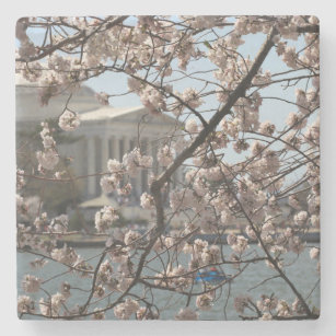 Dessous-de-verre En Pierre Les cerisiers fleurissent à Washington DC