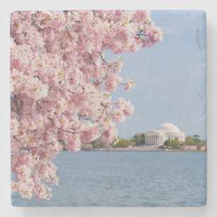 Dessous-de-verre En Pierre Les Etats-Unis, Washington DC, cerisier