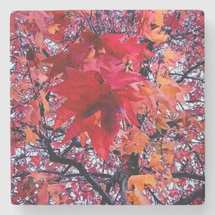 Dessous-de-verre En Pierre Les feuilles d'automne lumineuses