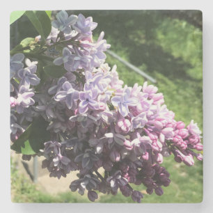 Dessous-de-verre En Pierre Lilacs in Family Park