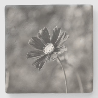 Dessous-de-verre En Pierre Limestone Coasters square Photography 