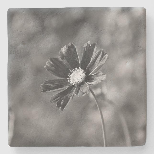Dessous-de-verre En Pierre Limestone Coasters square Photography  (Devant)
