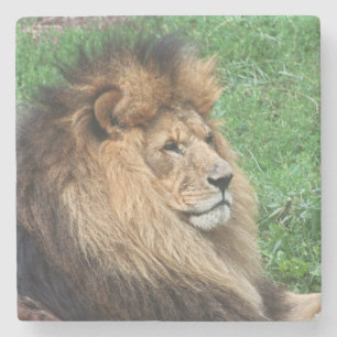Dessous-de-verre En Pierre Lion 001