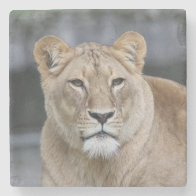 Dessous-de-verre En Pierre Lion 004 (Devant)