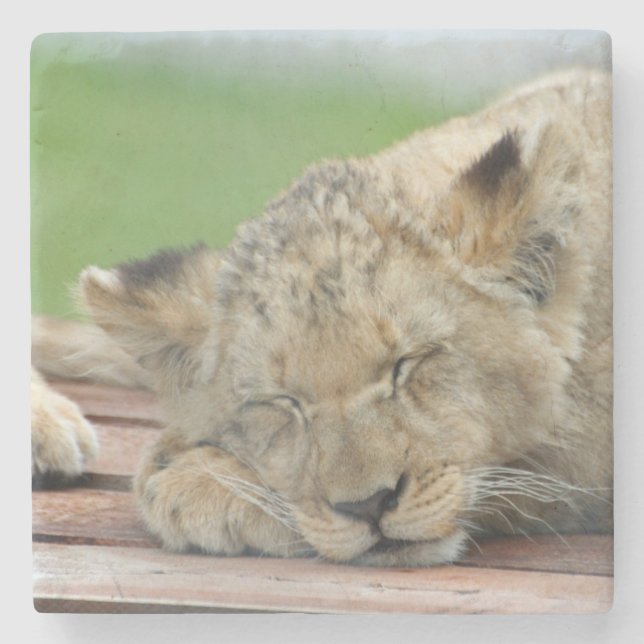 Dessous-de-verre En Pierre Lion 014 (Devant)