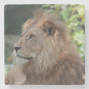 Dessous-de-verre En Pierre Lion 035