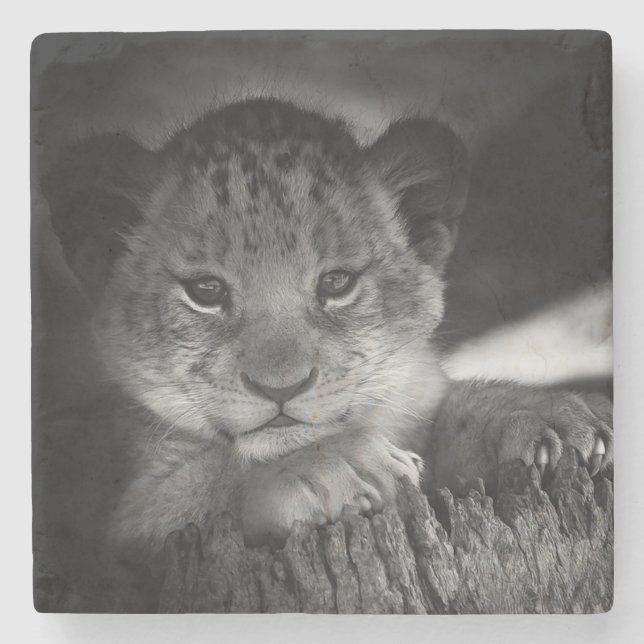 Dessous-de-verre En Pierre Lion bébé (Devant)