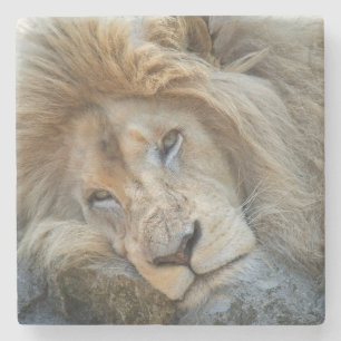 Dessous-de-verre En Pierre Lion de repos