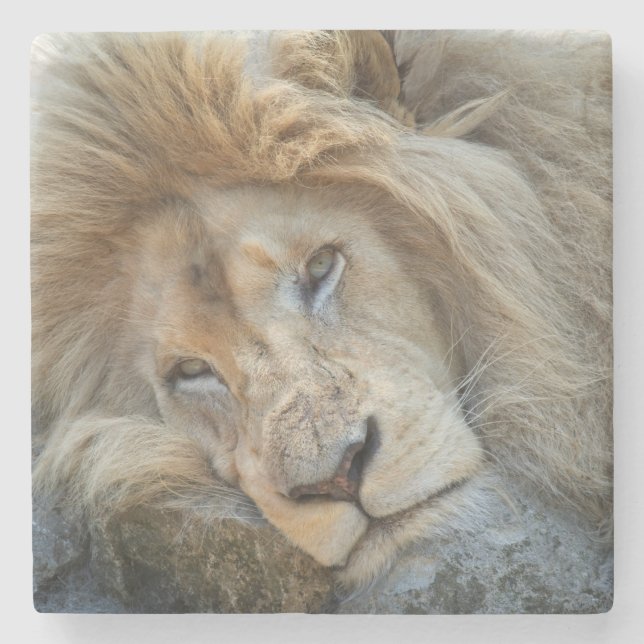 Dessous-de-verre En Pierre Lion de repos (Devant)