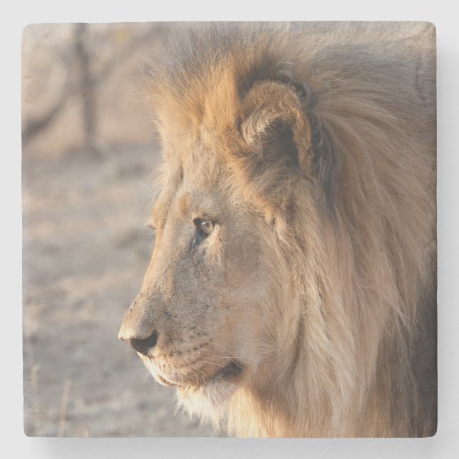 Dessous-de-verre En Pierre Lion Portrait (Devant)