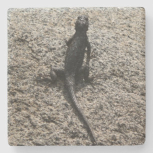 Dessous-de-verre En Pierre Lizard noir