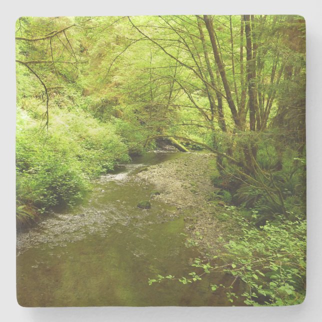 Dessous-de-verre En Pierre Lost Man Creek I au Redwood National Park (Devant)
