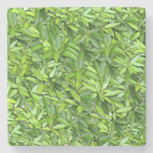 Dessous-de-verre En Pierre Lots de beautiful