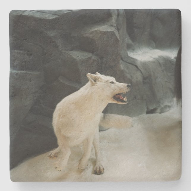Dessous-de-verre En Pierre Loup blanc (Devant)
