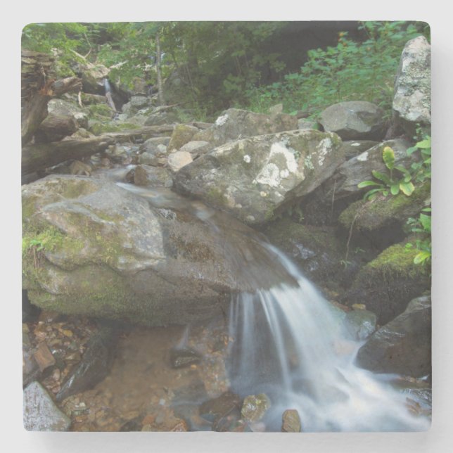 Dessous-de-verre En Pierre Lower Dark Hollow Falls, Shenandoah (Devant)