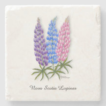 Lupins de Nouvelle-Écosse