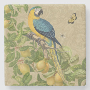 Dessous-de-verre En Pierre Macaw Blue Jaune Tropical Jungle Antique