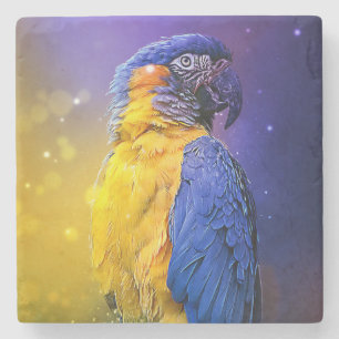Dessous-de-verre En Pierre Macaw Parrot