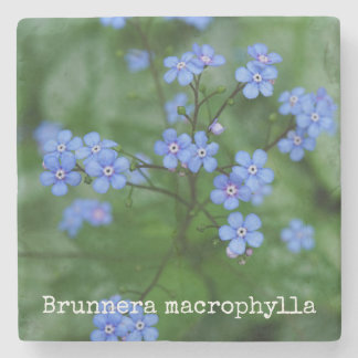 Dessous-de-verre En Pierre Macrophylla de Brunnera