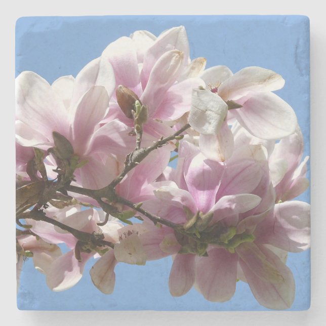 Dessous-de-verre En Pierre Magnolia blossom (Devant)
