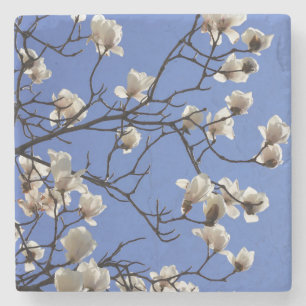 Dessous-de-verre En Pierre Magnolias florissants