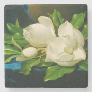 Dessous-de-verre En Pierre Magnolias géant sur un tissu de velours bleu (tête