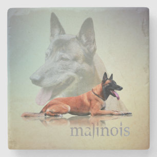 Dessous-de-verre En Pierre Malinois - berger belge - Mechelaar - Maligator