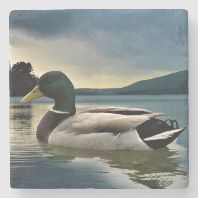 Dessous-de-verre En Pierre Mallard Duck (Devant)