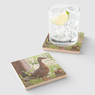 Dessous-de-verre En Pierre Mallard et canetons par Shirley Taylor