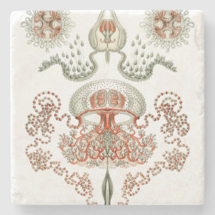 Dessous-de-verre En Pierre Méduses aquatiques de ~ de Haeckel de ~ de la vie