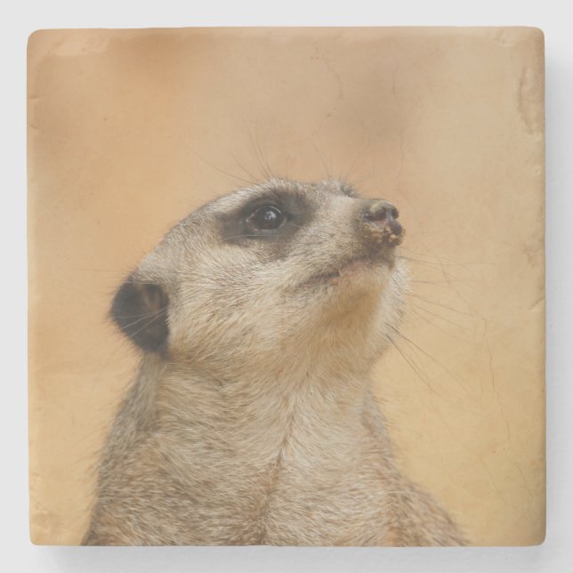 Dessous-de-verre En Pierre Meerkat 011 (Devant)