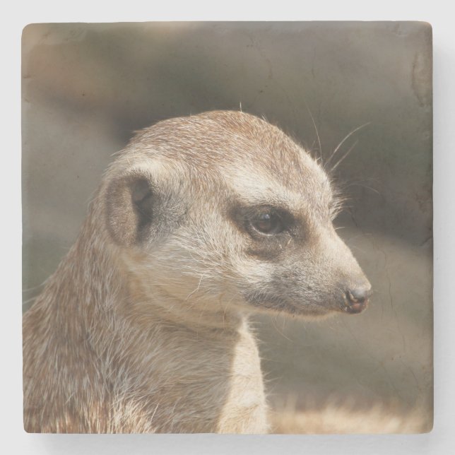 Dessous-de-verre En Pierre Meerkat 048 (Devant)