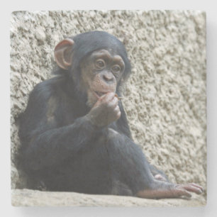 Dessous-de-verre En Pierre Mer de Chimpané 013