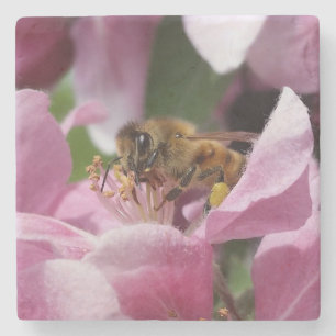 Dessous-de-verre En Pierre Miel Abeille Polining Crabapper Rose Flower