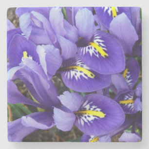 Dessous-de-verre En Pierre Miniature Bleu Irises Printemps Floral