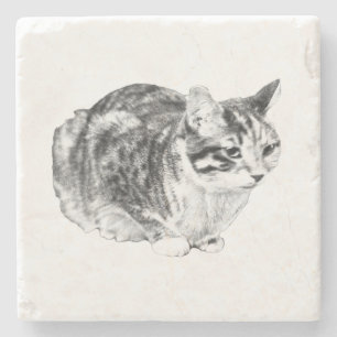 Dessous-de-verre En Pierre Minuscule galerie : Tabby sur Cushion