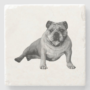 Dessous-de-verre En Pierre Moment de relaxation Bulldog