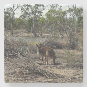 Dessous-de-verre En Pierre Moment tranquille : Kangaroo australien à Billabon