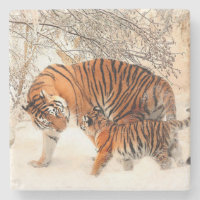 Momma et bébé tigre