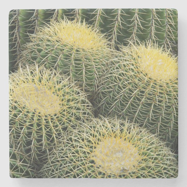 Dessous-de-verre En Pierre Motif de cactus (Devant)