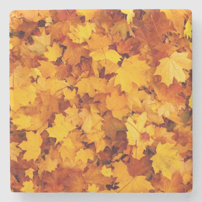 Dessous-de-verre En Pierre Motif feuille d'érable-25877 (Devant)