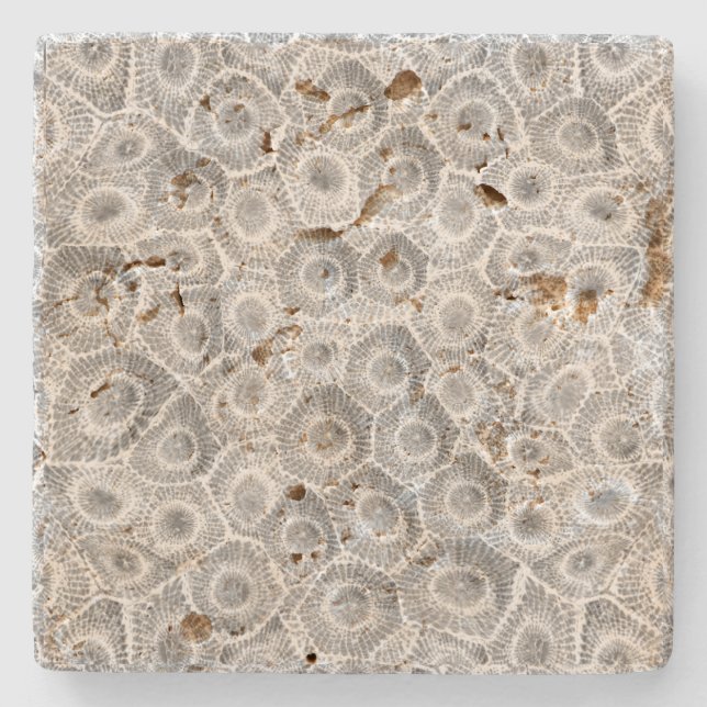 Dessous-de-verre En Pierre Motif Petoskey Stone (Devant)