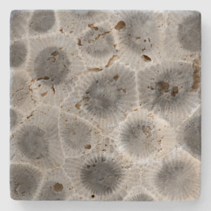 Dessous-de-verre En Pierre Motif Petoskey Stone