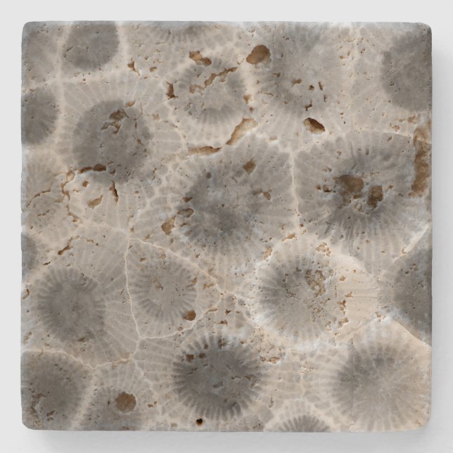 Dessous-de-verre En Pierre Motif Petoskey Stone (Devant)