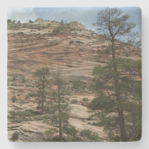 Dessous-de-verre En Pierre Murs de roche usés dans le parc national de Zion