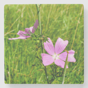 Dessous-de-verre En Pierre Musk-mallow
